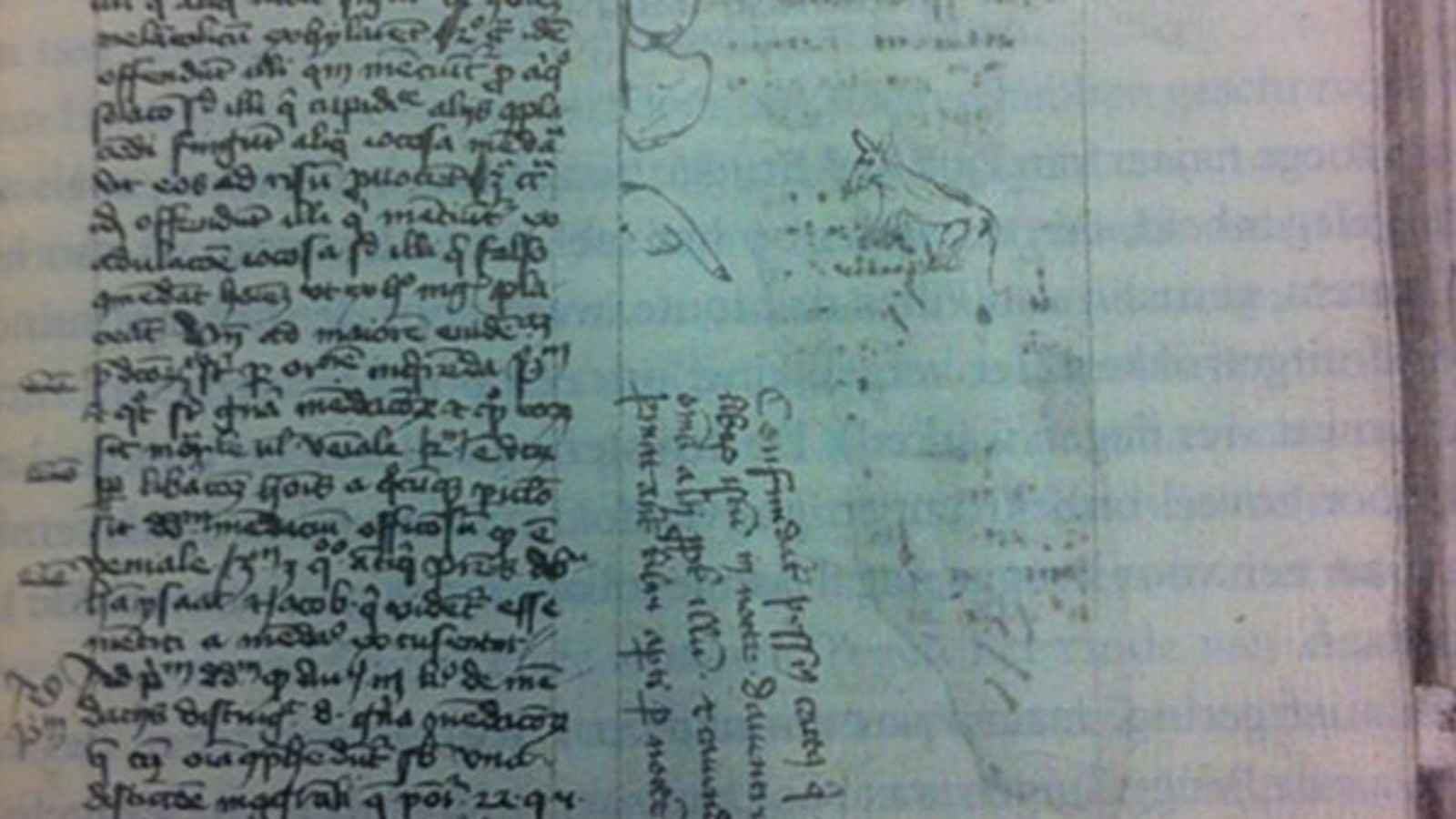 There is a 1420 book that was found to have cat piss on one of its pages. The author of the manuscript even wrote on the page "Cursed be the pesty cat that urinated over this book during the night in Deventer... and beware well not to leave open books at night where cats can come."