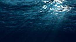 There are microorganisms living on the seafloor that reproduce only once every 10,000 years and have been alive for millions. These are likely the oldest living things on Earth.