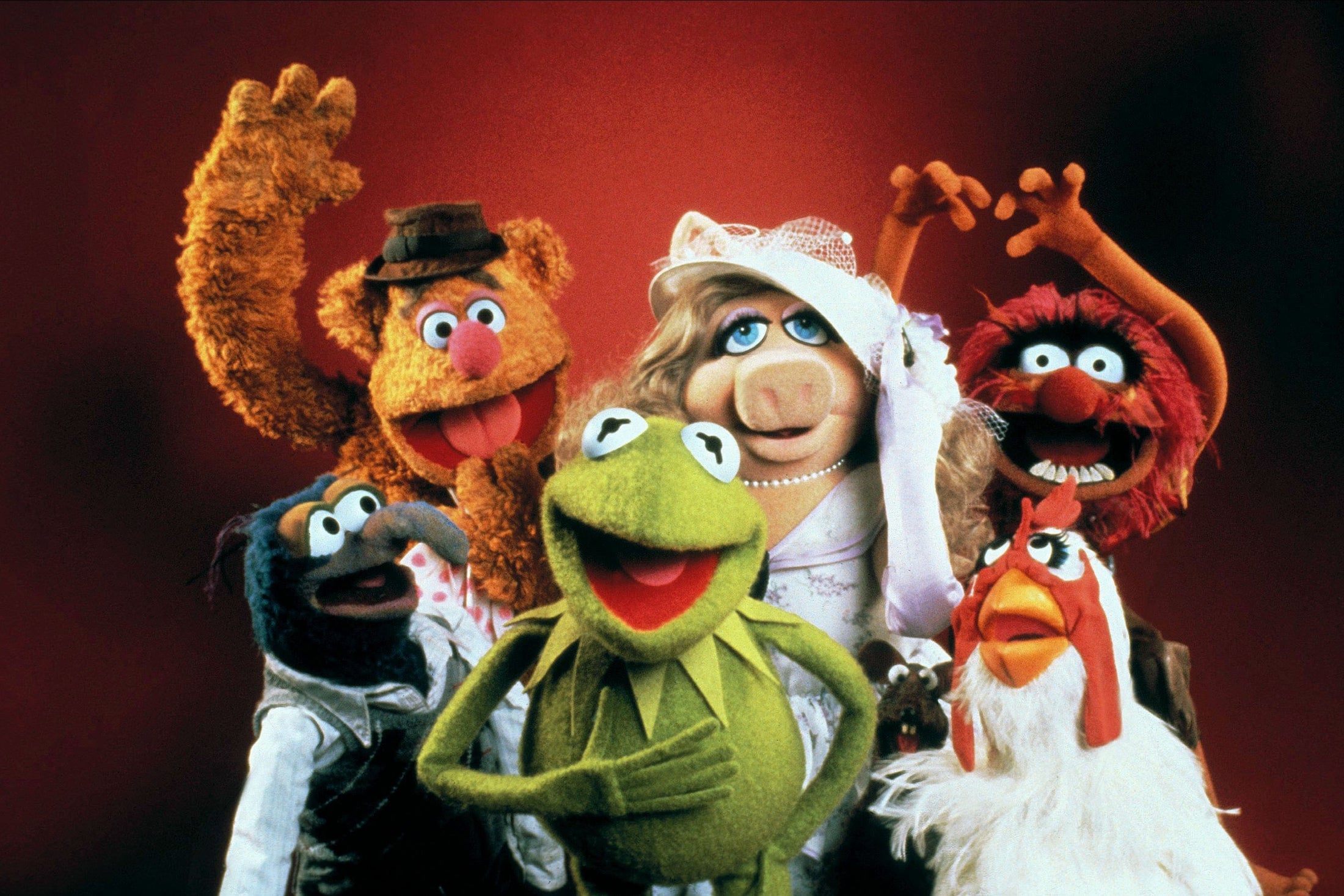 Jim Henson originalmente queria que os Muppets fossem para adultos e não via seus personagens como um veículo para educação infantil e entretenimento familiar. Na verdade, ele primeiro imaginou algo mais próximo de South Park do que de Vila Sésamo e, na década de 1950, eles fizeram comédia de humor negro em comerciais.