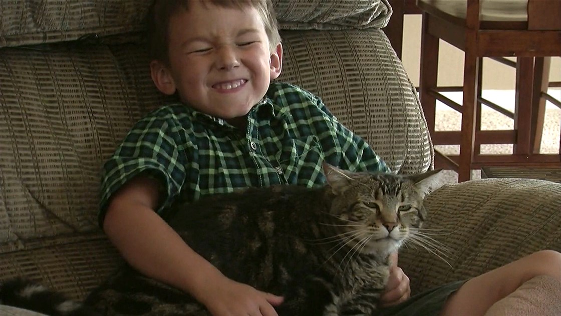 Stunden nach ihrer Adoption aus einem Tierheim rettete die 21-Pfund-Katze Pudding ihren Besitzern das Leben. Während Amy Jung einen diabetischen Anfall erlitt, drückte sie sein Gewicht auf ihre Brust und begann, ihr Gesicht zu schlagen und sich in die Nase zu beißen, bis sie das Bewusstsein erlangte.