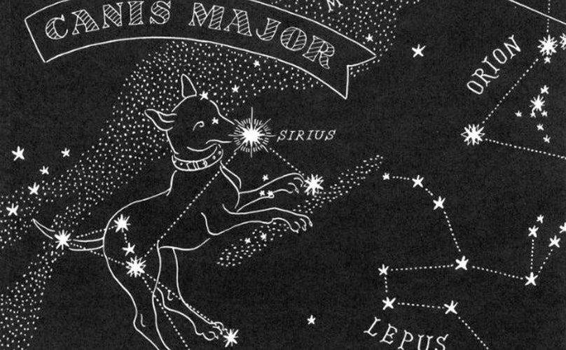 What Are Dog Days of Summer?