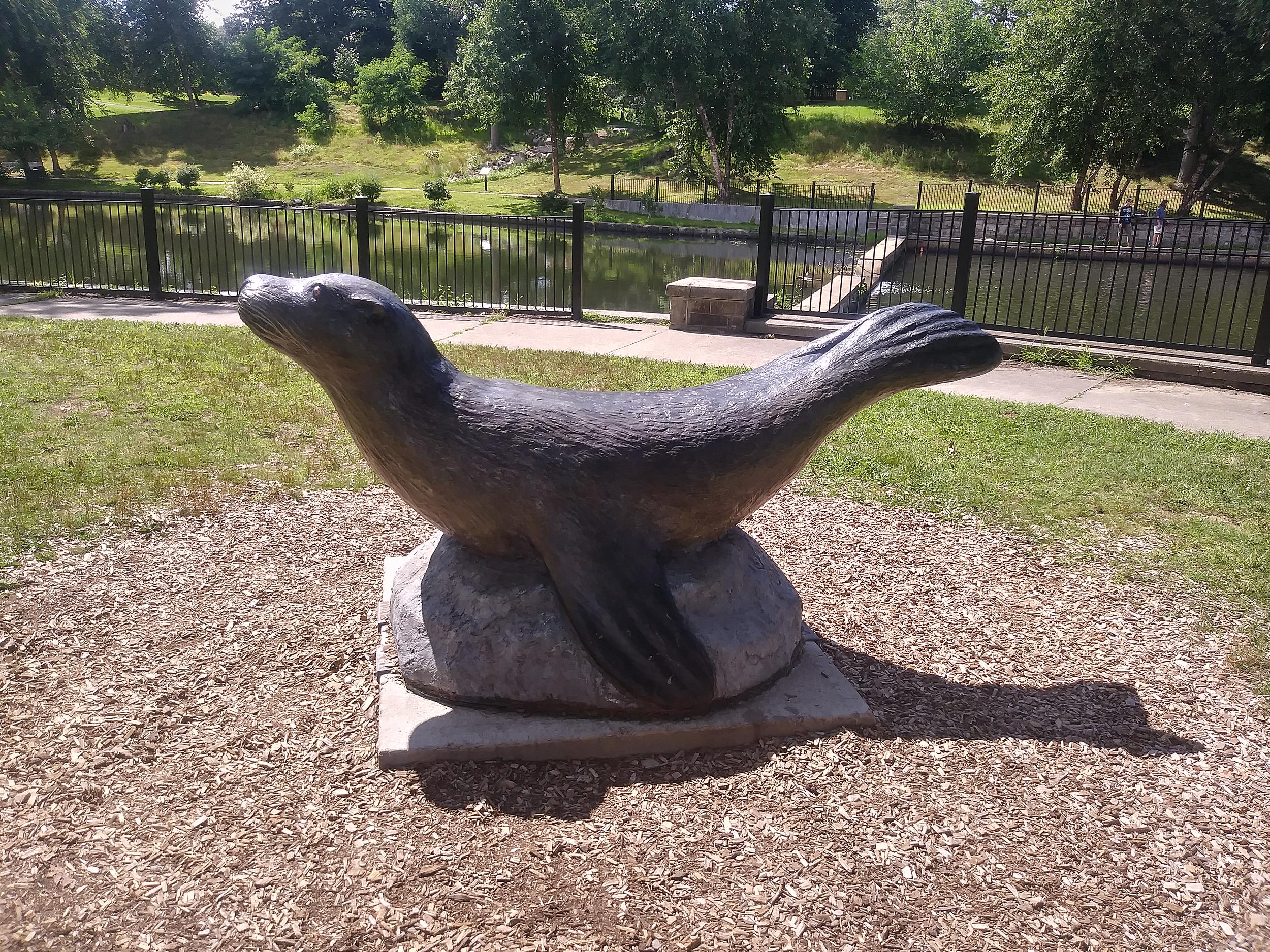 What is the Story of Rhonda the Sea Lion?