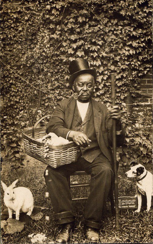 Quem é George W. Johnson?