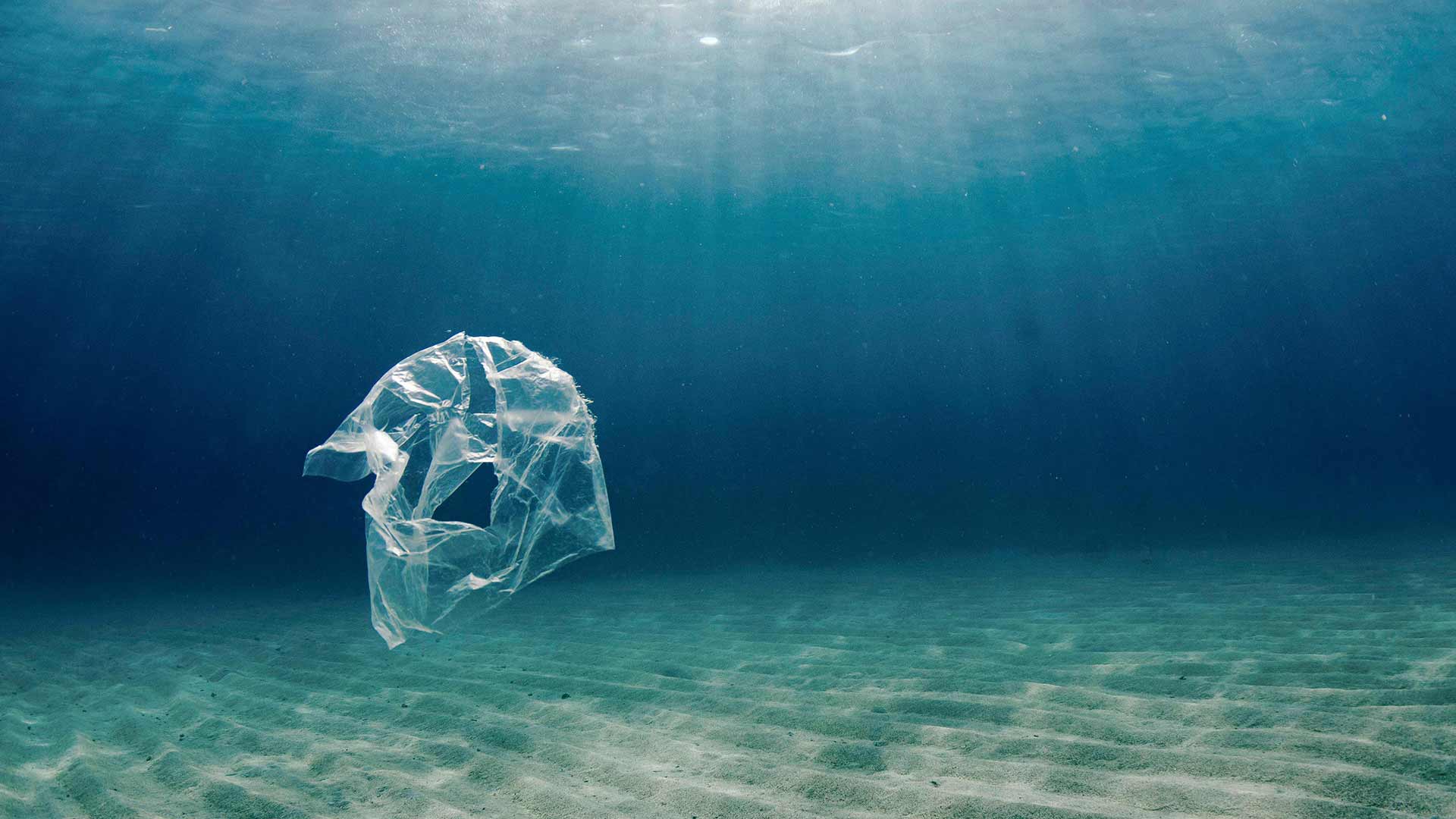 Was fanden Forscher am Grund der Challenger Deep?