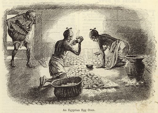 كيف احتضن المصريون البيض؟