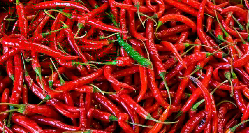 D'où viennent les piments forts&nbsp;?