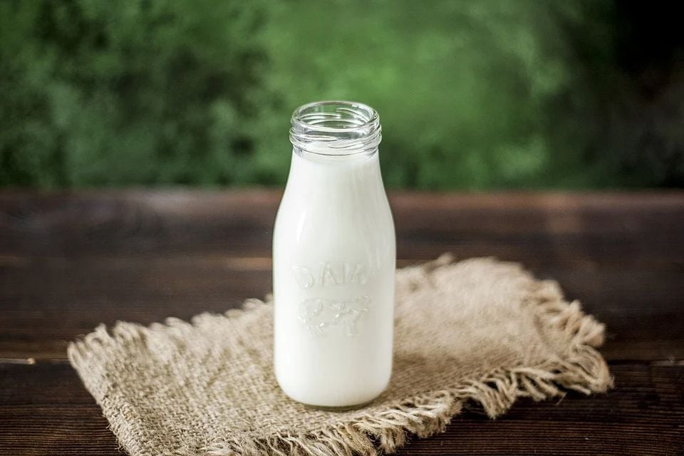 Qu'est-ce qui rendait le lait toxique dans les années 1800 ?