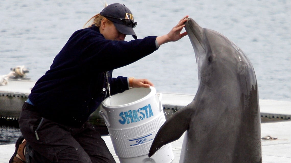 Wie beschermt een kwart van het Amerikaanse nucleaire arsenaal?