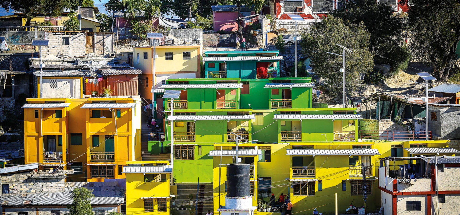 海地人属于哪个种族？