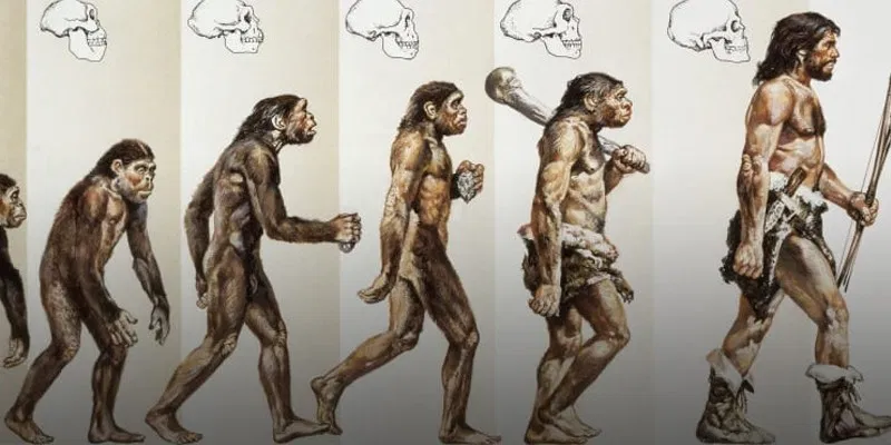 Pourquoi n'y a-t-il qu'une seule espèce humaine ?