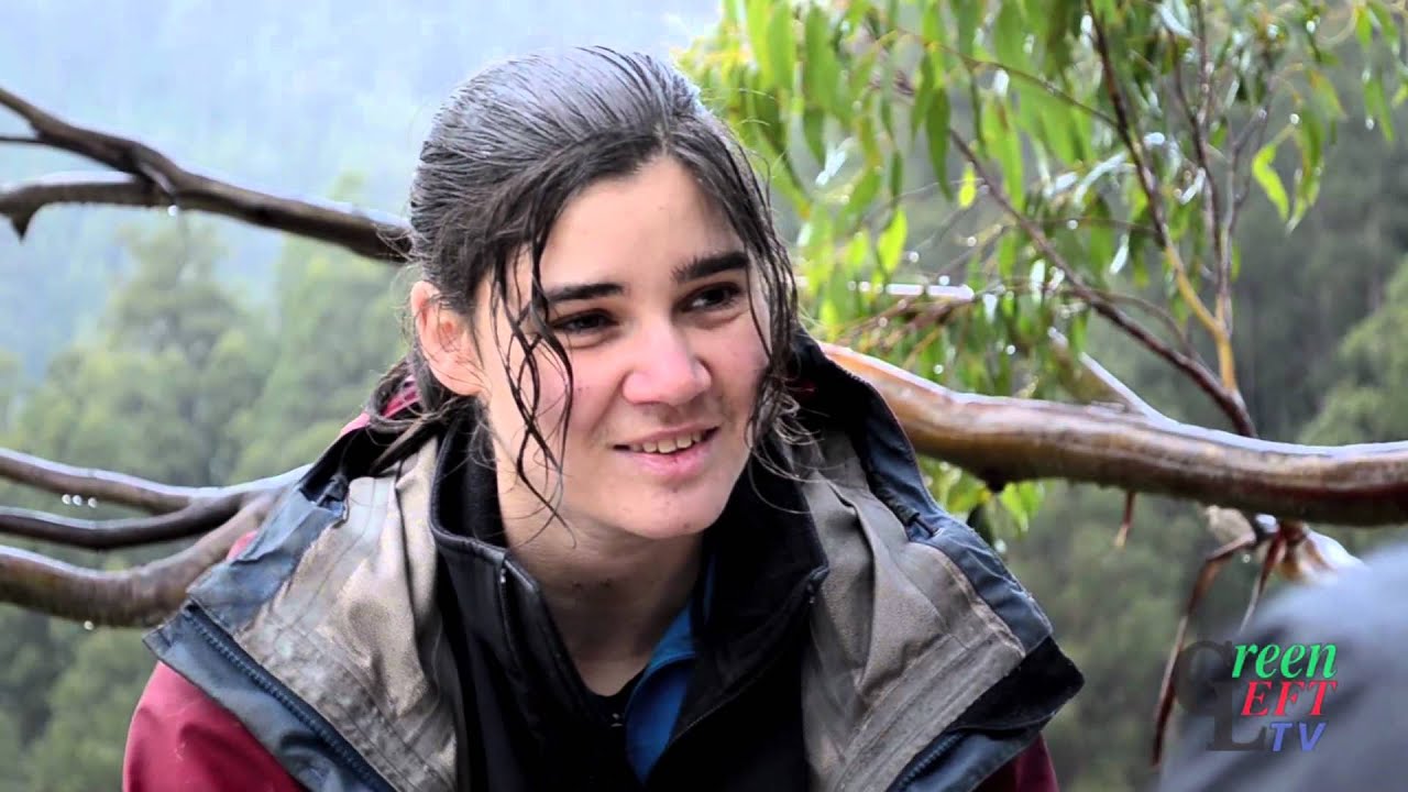 كيف ساعدت ميراندا جيبسون في إنقاذ أشجار تسمانيا؟