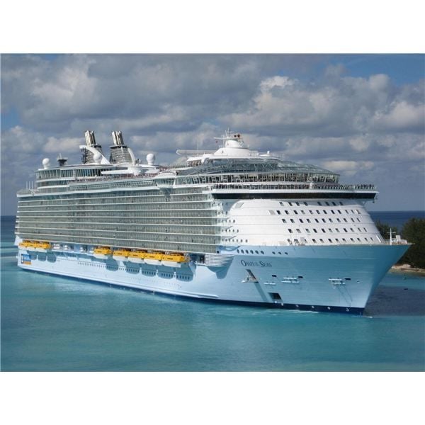 MS Oasis 的油耗是多少？