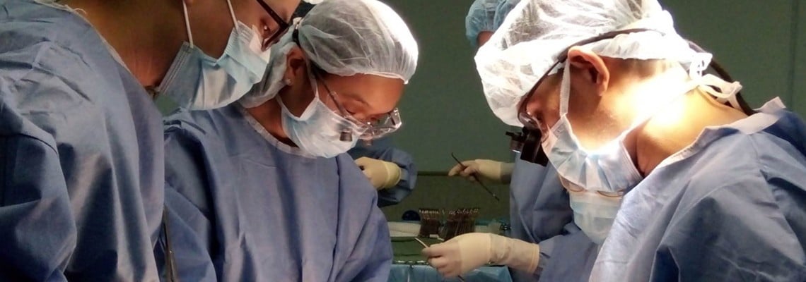 Wie viele Menschen haben sich durch Organtransplantationen Tollwut zugezogen?