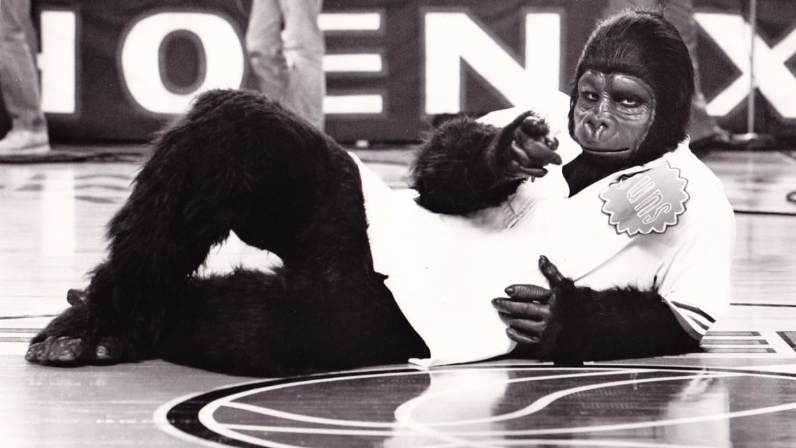 The Phoenix Suns Did Not Have an Official Mascot Until a Fan Came to a Home Game Dressed as a Gorilla, He Was Asked to Dance Underneath the Ring During a Timeout