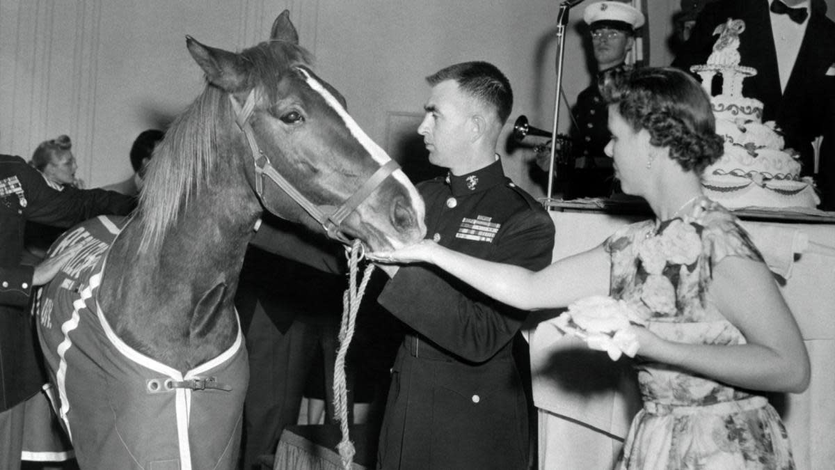 無謀な軍人は誰ですか？