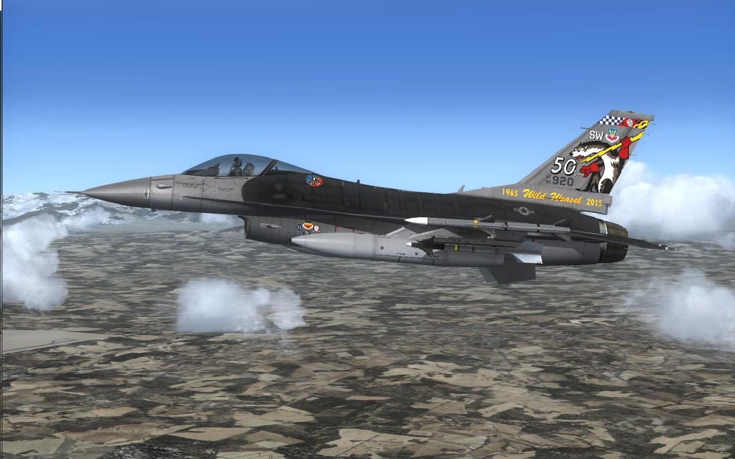 What are Wild Weasels?