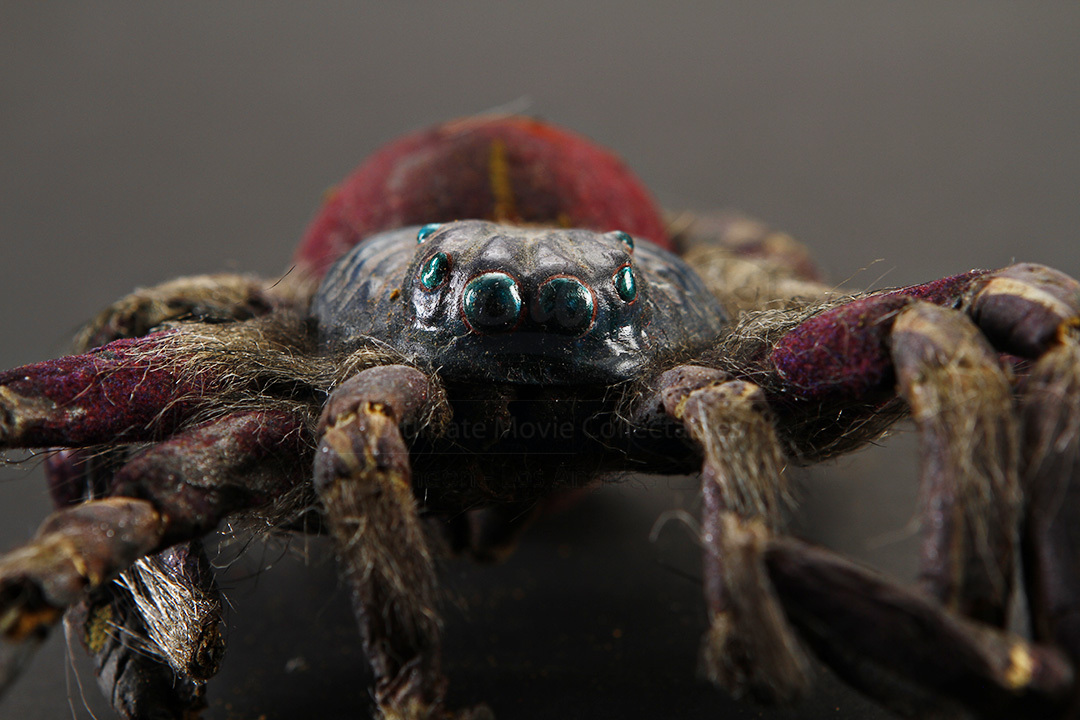 بيج بوب هو أكبر عنكبوت في فيلم رهاب العناكب. كان عنكبوتًا يأكل الطيور وسمي على اسم روبرت زيميكيس. تم تبنيه من قبل أحد أعضاء الطاقم بعد التصوير.