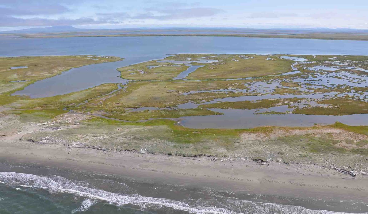 يعد ساحل ألاسكا أطول من جميع الولايات الـ 49 مجتمعة. نعم ، حتى أطول من هاواي.