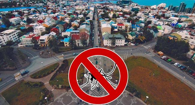 يوجد 1,300 نوع من الحشرات في آيسلندا ، ولكن لم يتم اكتشاف أي نوع من البعوض.