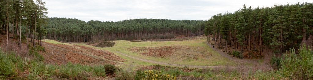 تم تصوير مشاهد لـ Gladiator و Band of Brothers و Children of Men و Thor وحتى مقطع الفيديو الموسيقي لـ Coldplay في نفس الغابة في Surrey ، إنجلترا.